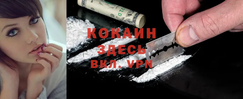 Cocaine FishScale  продажа наркотиков  Ахтубинск 