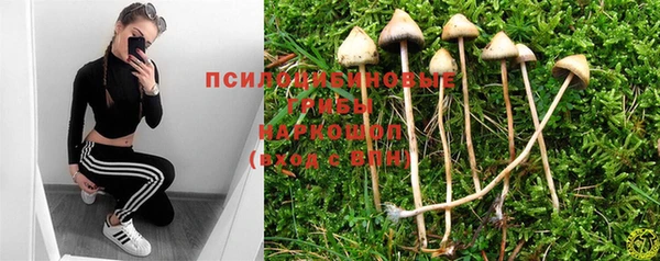 PSILOCYBIN Бугульма