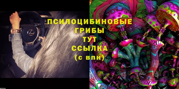 PSILOCYBIN Бугульма