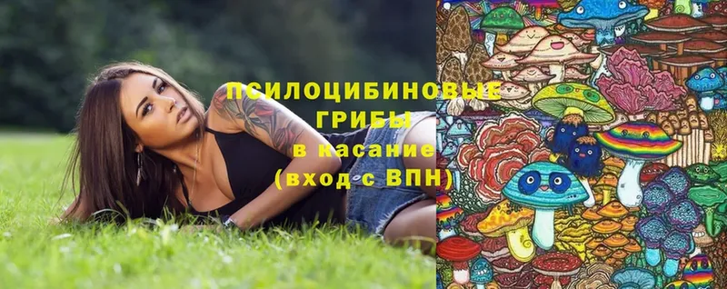 Псилоцибиновые грибы Magic Shrooms  кракен ссылки  Ахтубинск  где продают  